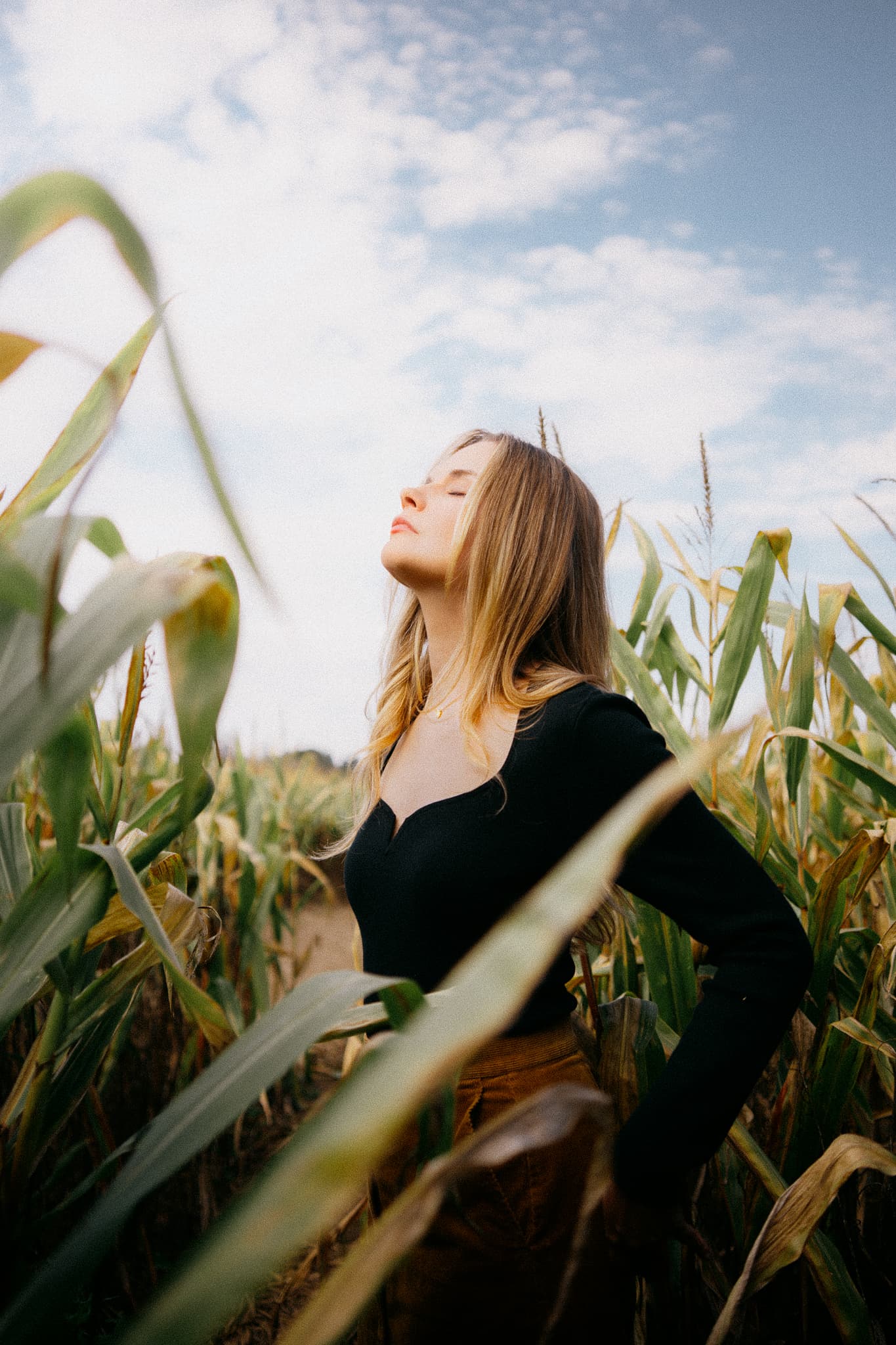 Woman in a cornfield looking up at the sky