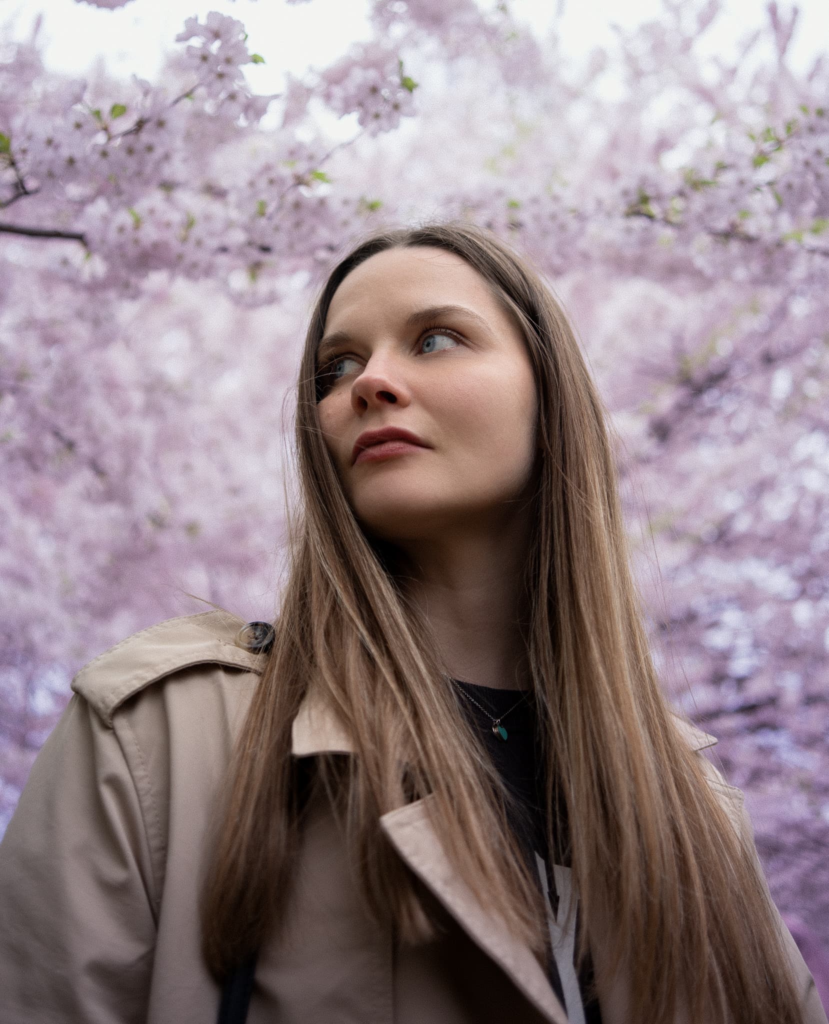 Woman in a trench coat under blooming cherry blossoms